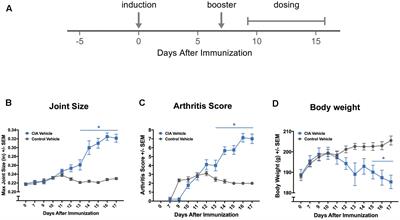 Development of the Digital Arthritis Index, a Novel Metric to Measure Disease Parameters in a Rat Model of Rheumatoid Arthritis